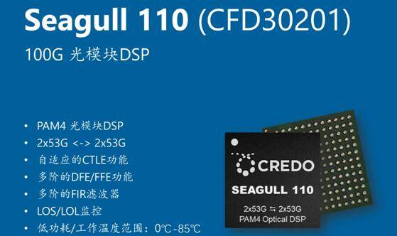 Credo 光DSP再添新成员：Seagull 110和Seagull XR8